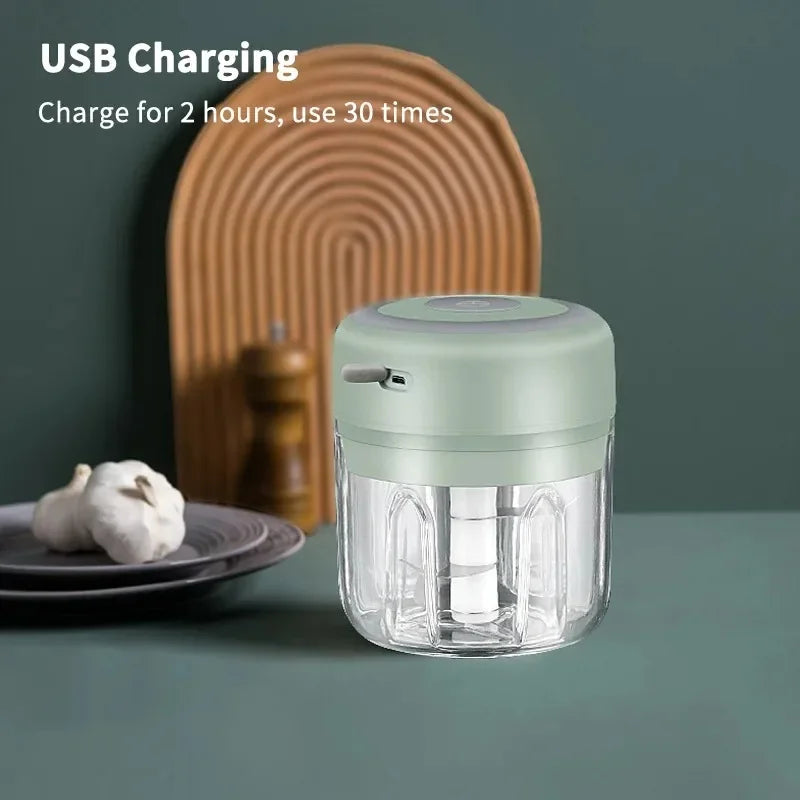 250ml Electric Garlic Chopper Meat Grinder and Vegetable Crusher Kitchen Tool